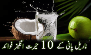 coconut feature image