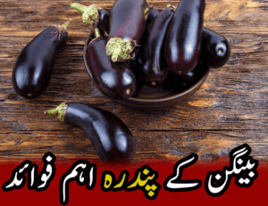 eggplant 13