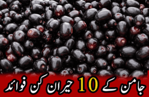 jamun feature image