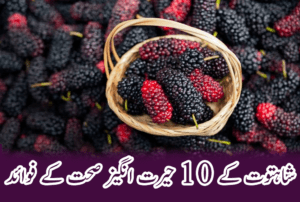 mulberries feature image
