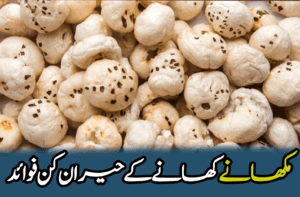 makhana feature image