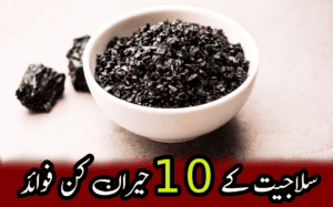 silajat feature image